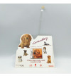 NINTENDOGS DACHSHUND Y COMPAÑIA