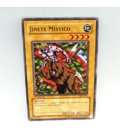 JINETE MISTICO