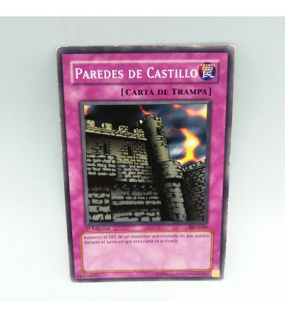 PAREDES DE CASTILLO