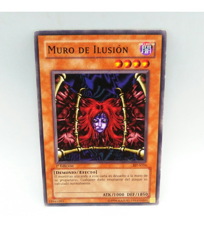 MURO DE ILUSION