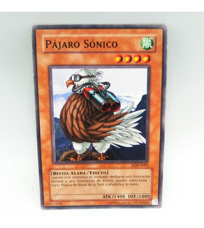 PAJARO SONICO