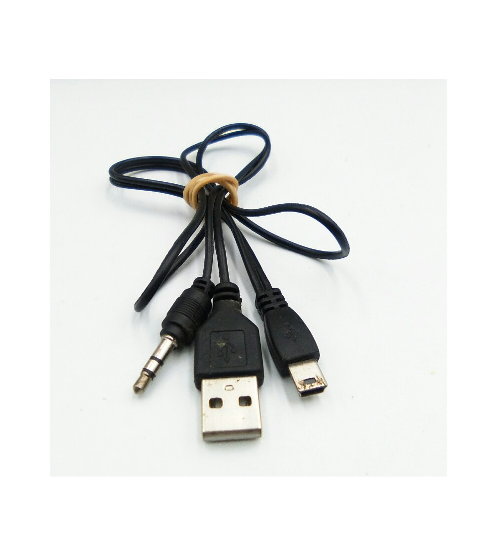 sofá Abrumador ganancia CABLE ADAPTADOR MINI USB A USB /MINI JACK 0.5M NEGRO
